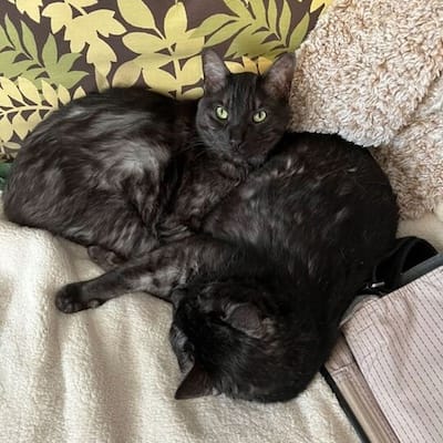 Gizmo and Glitch the black voids cuddling up next to each other