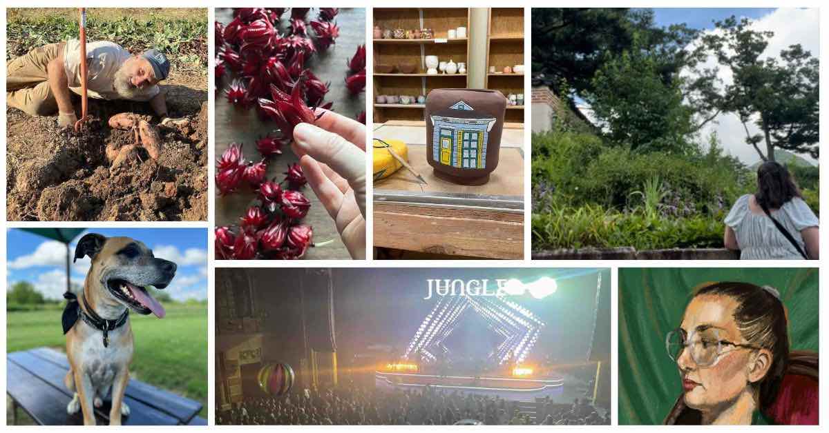 A collage of seven images showing different grounding activities mentioned in the blog post: a person digging sweet potatoes in soil, bright red roselle hibiscus flowers being harvested, a pottery piece with a painted house design, someone looking out over a nature scene, a happy dog sitting on a bench outdoors, a concert venue with "JUNGLE" in lights and a crowd below, and a portrait painting of a person wearing glasses. These images represent various ways team members stay grounded through gardening, harvesting, pottery, nature, pet companionship, live music, and art.